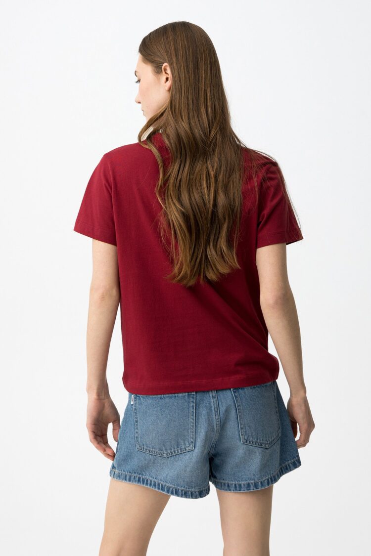 1769531764_71978ea36e83c99c5dece8c48d6a4621